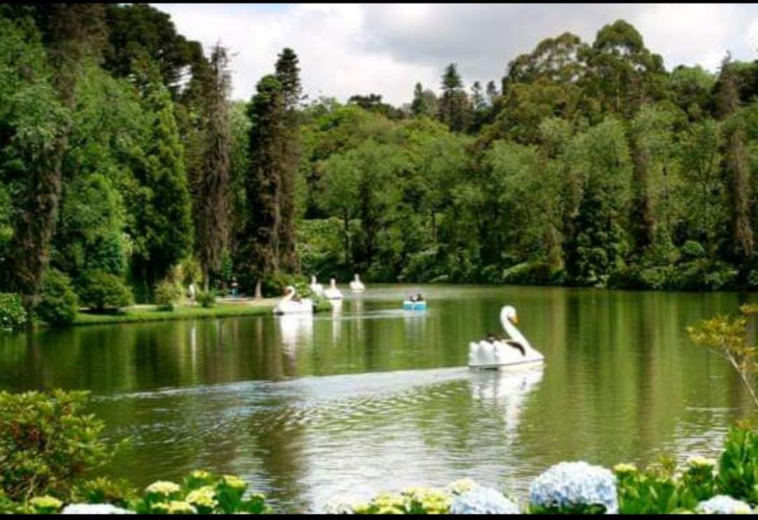 Casa Nobre Gramado Villa Buitenkant foto