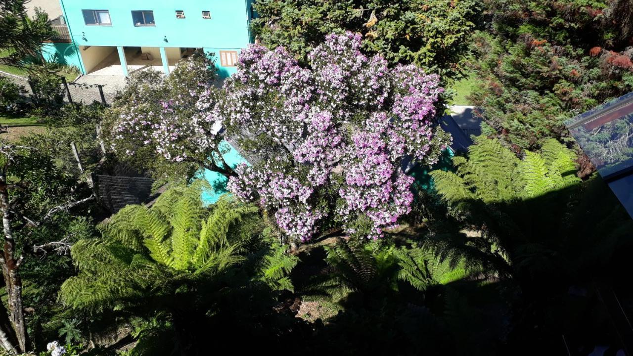 Casa Nobre Gramado Villa Buitenkant foto